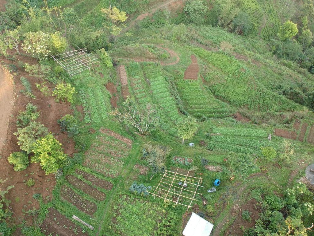 Permaculture Nepal | AHF – Agroecology Design Experts- field