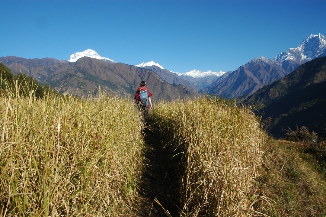 Permaculture Nepal | AHF – Agroecology Design Experts- high hills
