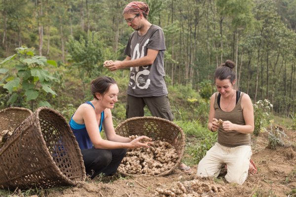 Permaculture Nepal | AHF – Agroecology Design Experts- traning programs